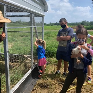 Eco Friendly Farming Tour to Explore Dorado's Most Beautiful Farm 6