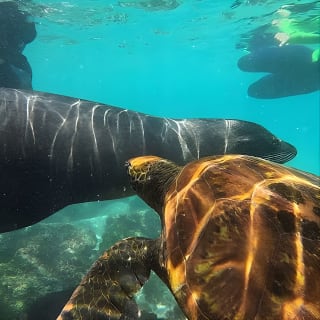 Full day Snorkeling Tour Santa Fe Island and Playa Escondida 4