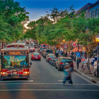Mount Vernon & Old Town Alexandria: Half-Day Tour 8
