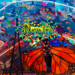 Novo Ita Immersive Art Experience 4