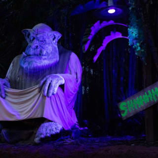 ZooTampa: Creatures of the Night 14