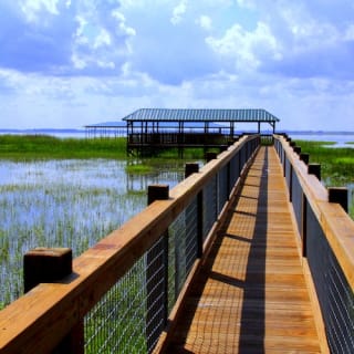 Wild Florida Gator Park Admission 7