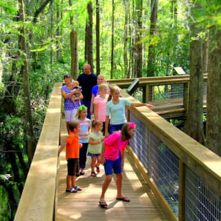 Wild Florida Gator Park Admission 8