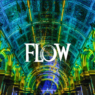 Eonarium FLOW : un spectacle lumineux immersif au Palais de la Bourse 2