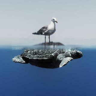 Ocean Photographer of the Year Exhibition 3