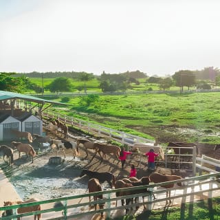 Horseback Riding Tour at Private Ranch 15