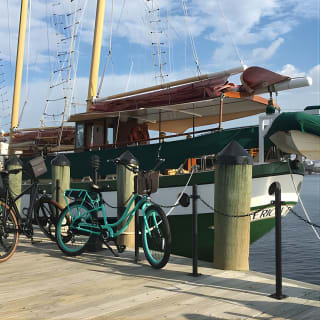 Electric Bike Rental Downtown Norfolk (self guided tour) 8