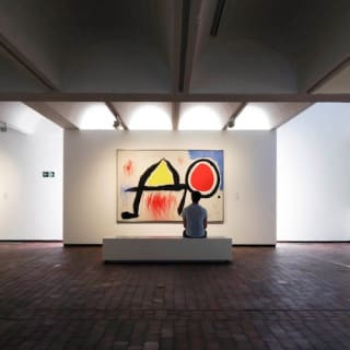 Fundació Joan Miró: Visita guiada 11