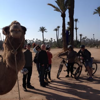 Excursion à vélo hors route de la Palmeraie au départ de Marrakech 2