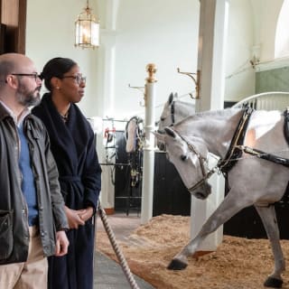 Entradas para The Royal Mews, Palacio de Buckingham 4
