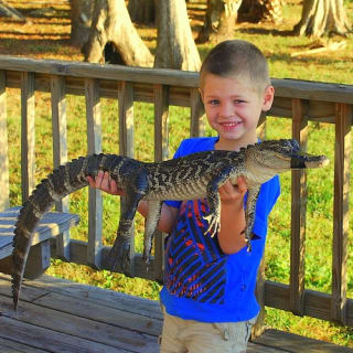Wild Florida Gator Park Admission 10