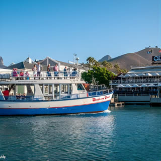 Cruise and Dine Lunch / Cape Town: Coastal Motor Cruise and 2-Course Lunch 7