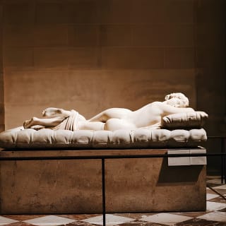 Paris Centre Ville & Visite guidée exclusive du Musée du Louvre - Entrée réservée incluse 25