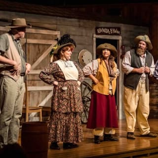 WhoDunnit Hoedown: Murder Mystery Dinner Show 2