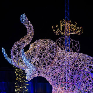 Lumagica München - Carnival of Lights - Geschenkgutschein 7