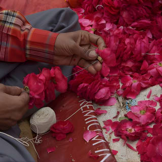 Cultural Walk and Food Tasting In Jaipur 9