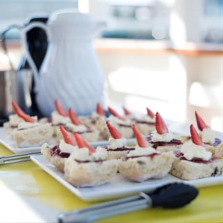 90min Brisbane River Cruise/Tour 6