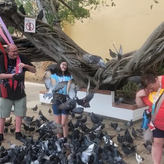 Old San Juan Family Fun Tour: Science/History/ Yummy treats 16