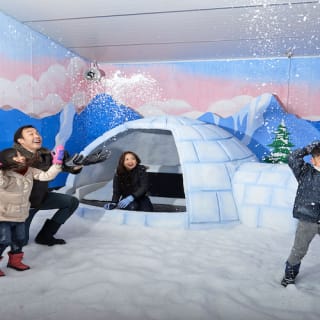 Snow City Singapour 6