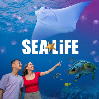 Bundle: Bubble Planet + SEA LIFE Aquarium 4
