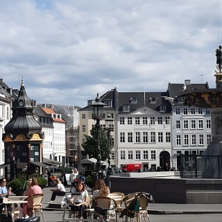 Tour privado de un día con guía de audio autoguiado en Copenhague 11