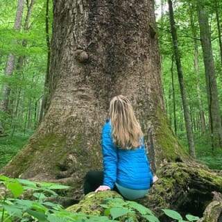 Forest Bathing & Nature Therapy Walk 1