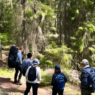 Magical Taiga Forest Hike con Almuerzo y Transporte 11