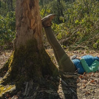Forest Bathing & Nature Therapy Walk 3