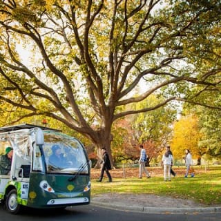 L'explorateur - Melbourne Gardens 1