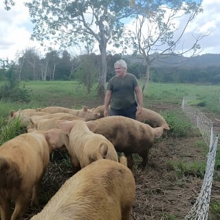 Eco Friendly Farming Tour to Explore Dorado's Most Beautiful Farm 7