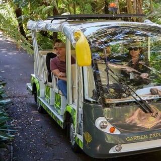 L'explorateur - Melbourne Gardens 2