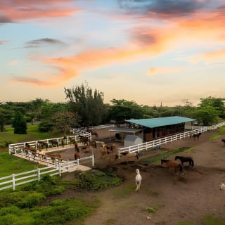 Horseback Riding Tour at Private Ranch 16