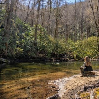 Forest Bathing & Nature Therapy Walk 6