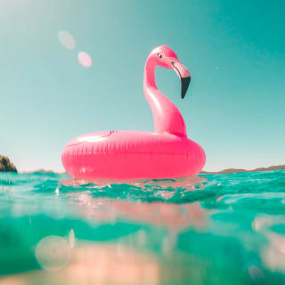 Planes de verano 12 1