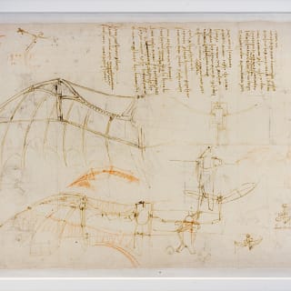 ‘S’inspirer du vivant : de Léonard De Vinci à nos jours’ - Billet Exposition + Visite libre du Château du Clos Lucé + Parc + Galeries 3