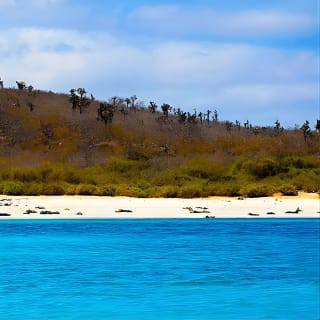 Full day Snorkeling Tour Santa Fe Island and Playa Escondida 5