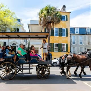 Daytime Horse-Drawn Carriage Sightseeing Tour of Historic Charleston 14