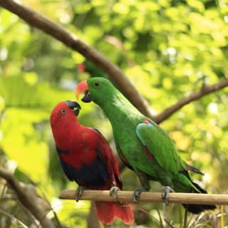 Lombok Wildlife Park: Entry Ticket 3