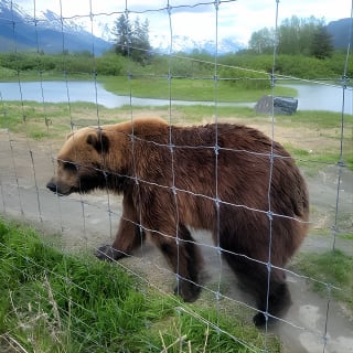 Wildlife Conservation Center with Lunch & Local Beer Sampling 14