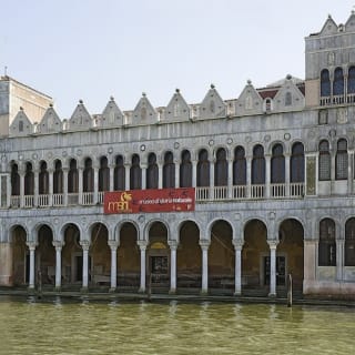 Museo di Storia Naturale di Venezia 2