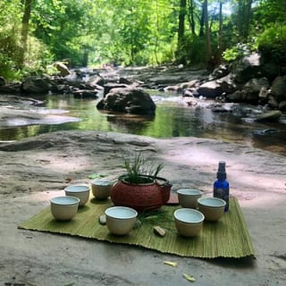 Forest Bathing & Nature Therapy Walk 11