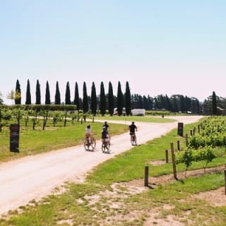 Hahndorf Food and Wine E-Bike Tour 8