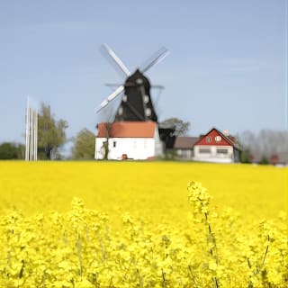 Daytrip Bike Tour on the Swedish Countryside Private 2