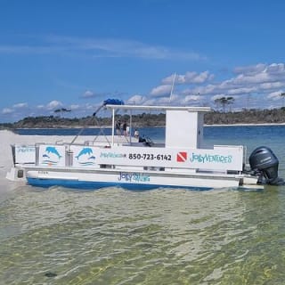 Private 3 Hour Powerboat Dolphin Cruise with Remote Beach Stop up to 6 guests 1