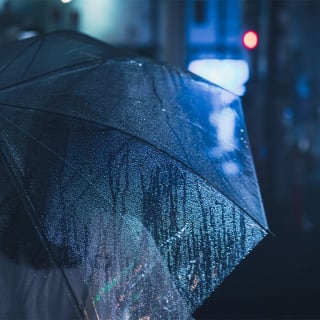 Planes bajo la lluvia 8 1