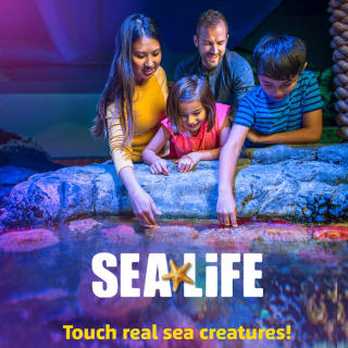 Bundle: Bubble Planet + SEA LIFE Aquarium 6