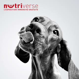 Nutriverse by Royal Canin® 3