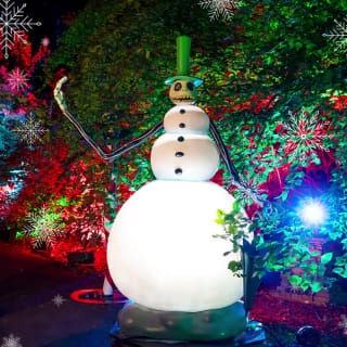 Disney Tim Burton’s The Nightmare Before Christmas Light Trail 5