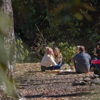 Forest Bathing & Nature Therapy Walk 14