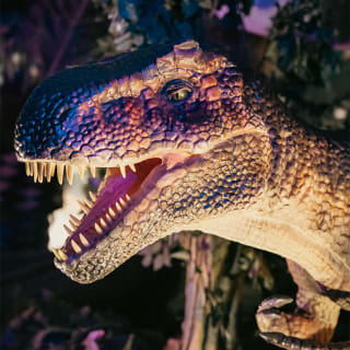 Dinosaurios y el Mundo Jurásico - Rosario 2